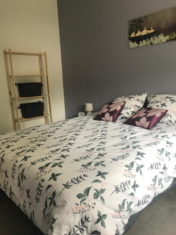 Appartement A Tarascon Sur Ariege Le Sabart Eksteriør billede