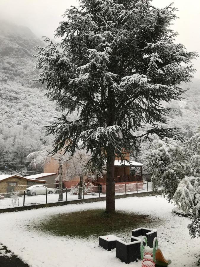 Appartement A Tarascon Sur Ariege Le Sabart Eksteriør billede
